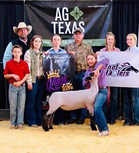 Williams Show Lambs Winners