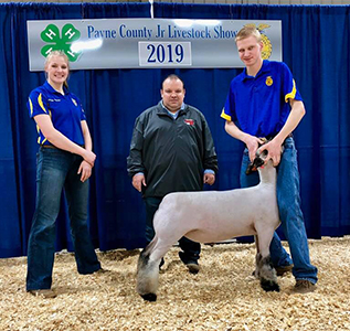 WilliamsShow Lambs Winners