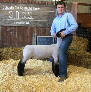 Williams Show Lambs Winners