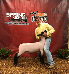 Williams Show Lambs Winners