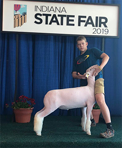 Williams Show Lambs Winners