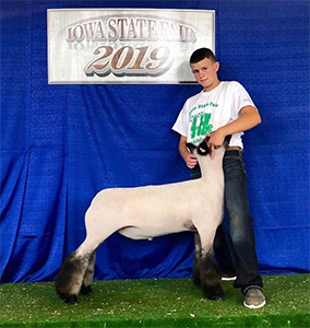 Williams Show Lambs Winners