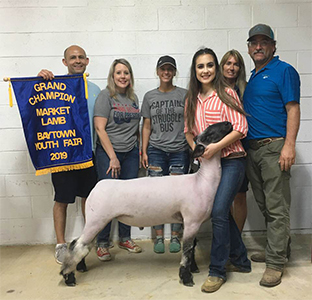 Williams Show Lambs Winners