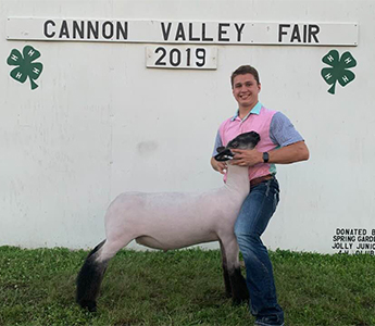 Williams Show Lamb Winners