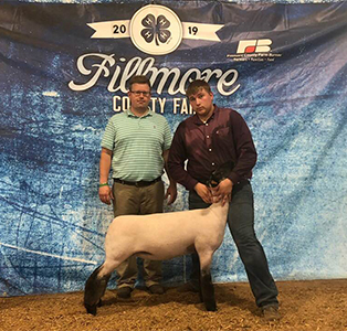 Williams Show Lambs Winners