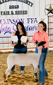 Williams Show Lambs Winners