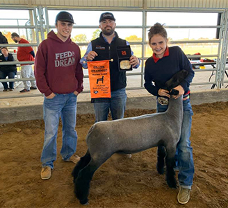 Williams Show Lambs Winners