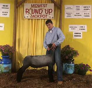Williams Show Lambs Winners