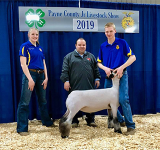 Williams Show Lambs