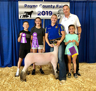 Williams Show Lambs Winners