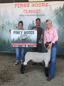 Willliams Show Lambs Winners