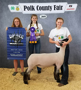 Williams Show Lambs Winners