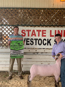 Williams Show Lambs Winners