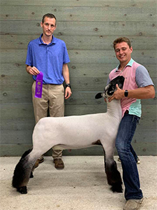 Williams Show Lambs Winners
