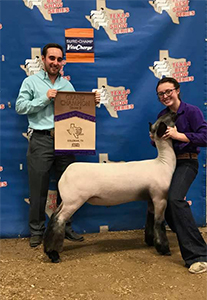 Williams Show Lambs Winners