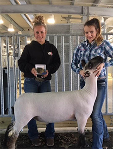 WilliamsShow Lambs Winners