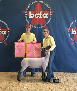 Williams Show Lambs Winners