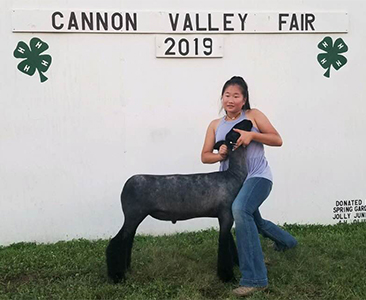 Williams Show Lamb Winners