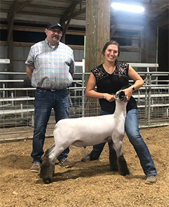 Williams Show Lambs Winners