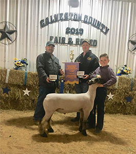Williams Show Lambs Winners