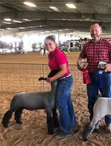 Williams Show Lambs Wnners