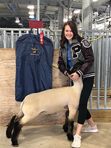 Williams Show Lambs Winners