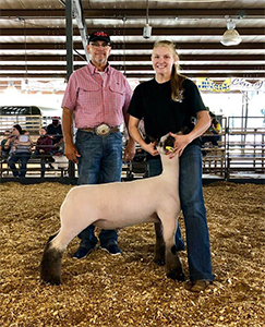 Williams Show Lambs Winners