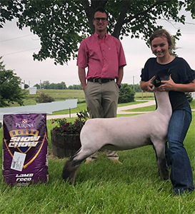 Williams Show Lambs Winners
