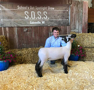 Williams Show Lambs Winners