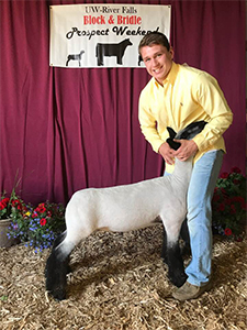 Williams Show Lambs Winners