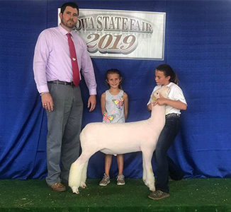 Williams Show Lambs Winners