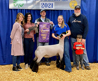 Williams Show Lambs