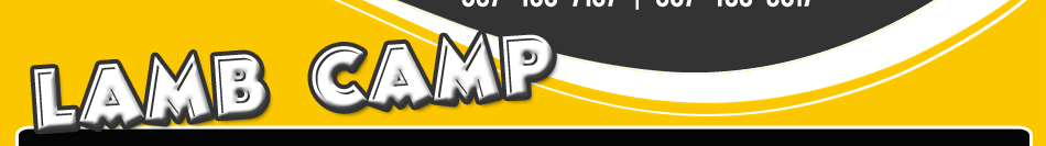 Lamb Camp