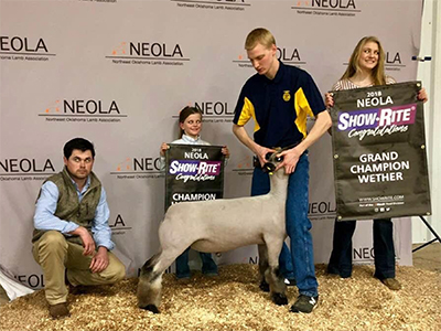 Williams Show Lambs Winners
