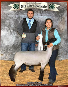 Williams Show Lambs Winners