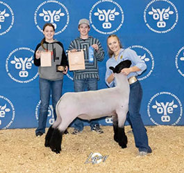 Williams Show Lambs